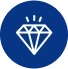 Customized Services